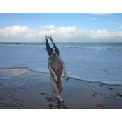 Jane Lindsay's photo