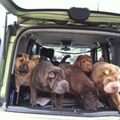 Penny Fairfield's photo