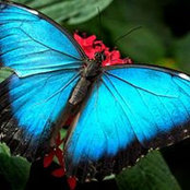Mari Kutscher's photo