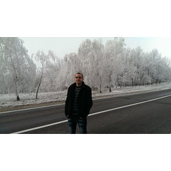 bestitweb
