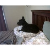 Marsha York's photo