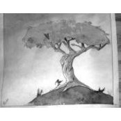 Brian Peperissa's photo