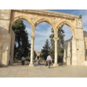 Mohamed Odehs foto