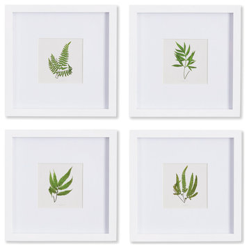 Forest Greenery Petite Prints, Set of 4