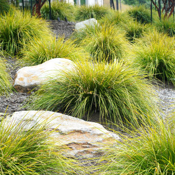 Extraordinary Greenery