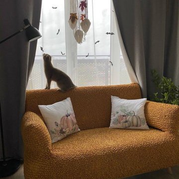 Mamma Mia Couch Covers | High Stretch Pet Protectors