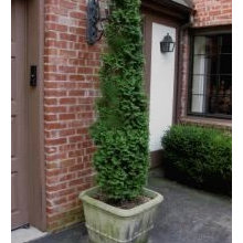 Caleb and Heidi: shrubs, flowers, ground covers