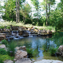 pond