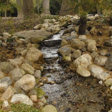 Pondscapes