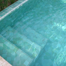 Piscines et bassins