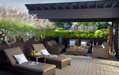 Pregunta al experto: 7 plantas que harán de la terraza un oasis