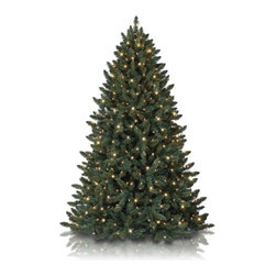 Balsam Spruce Christmas Tree - Christmas Trees