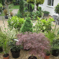 Planting schemes - Garden Products