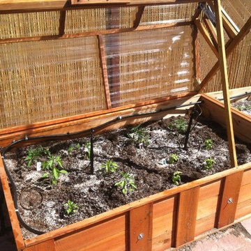 Raised bed, container garden with cold-frame, micro irrigation