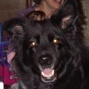 Darrin Kadel's photo