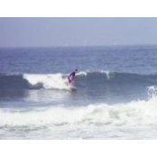 Josh Rodines foto