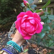 Foto von Donna Thompson