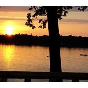 Sharon Doyle Wayte's photo