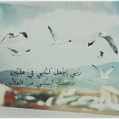 Areen Alsabbagh's photo