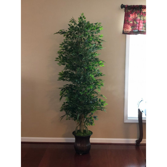Silk Plants Direct Houzz