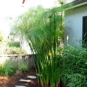 Modern asian inspired landscape design