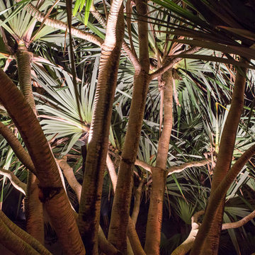 South Florida Sandy Hammock and Grass Yard in Delray Beach