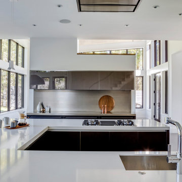 Next Century Modern- Kitchen