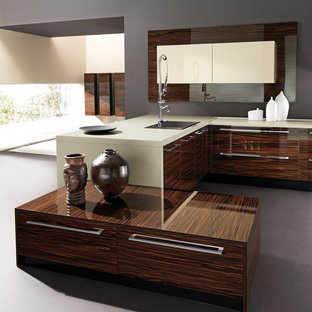 Ebony Wood Kitchen Cabinets Houzz