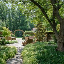 Landscape Ideas