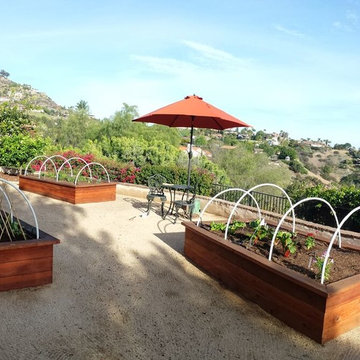 Urban Farms