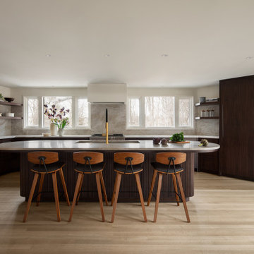 Mequon Midcentury Modern