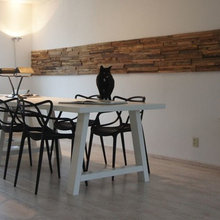 fireplace wall & bar wall