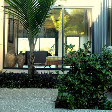 Coastal Garden
