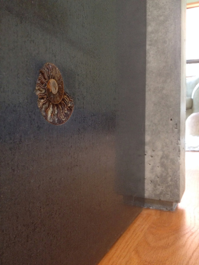 Ammonite inlay