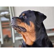 Mike Laufer's photo