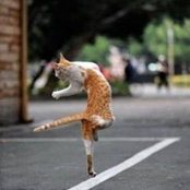 Natalya Yampolsky's photo