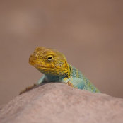 Joshua Smeltzer's photo