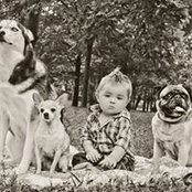 Ashley Thornton McGraw's photo