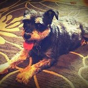 Jessica Nethers's photo