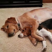 Laurie B's photo