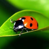 Janice Meyer's photo