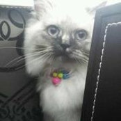 Rania Elshafey's photo