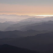 Mike Powers's photo