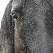 Whitney Worsley's photo