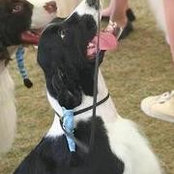 Brian Rowe's photo