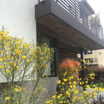 Yale Avenue, Marina Del Rey
