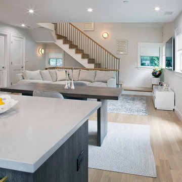 AIA Award Winning 2018 Design Award in the category of Residential Multi-family