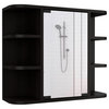 FM FURNITURE Valdez 24"H Engineered Wood Medicine Cabinet with Mirror in Black
