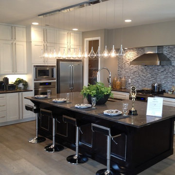 Infinity Home Collection Stapleton at Vue in Stapleton