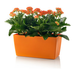 Plastic Coimbra Planter Plastic - Orange - Outdoor Plant Pots & Planters